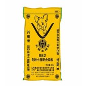 汇银丰852/L/40KG/良种小猪